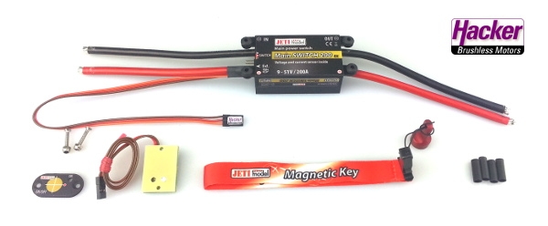 80001232 DUPLEX 2.4EX Main Switch 200 + Magnetic Switch